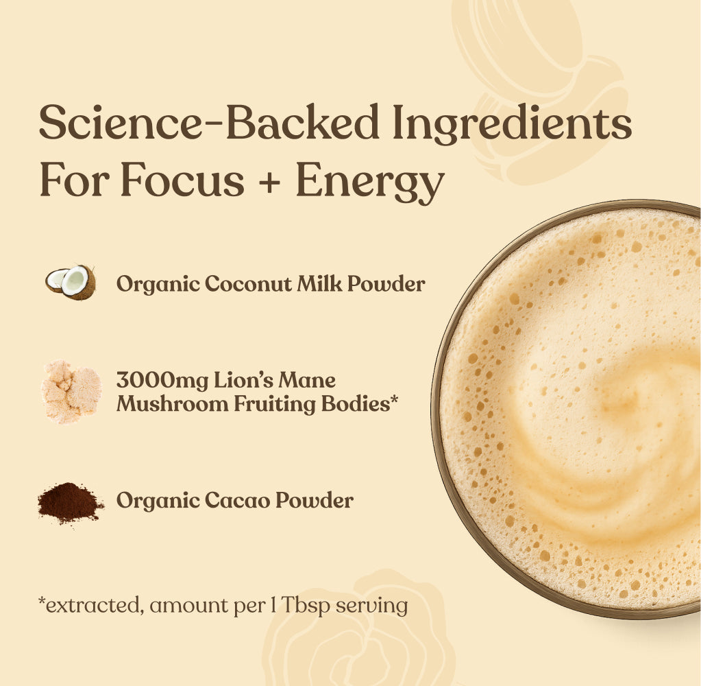 Focus Organic Creamer Chocolate - 6pack