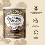 Organic Plant-Based Protein - Chocolate - 6pack